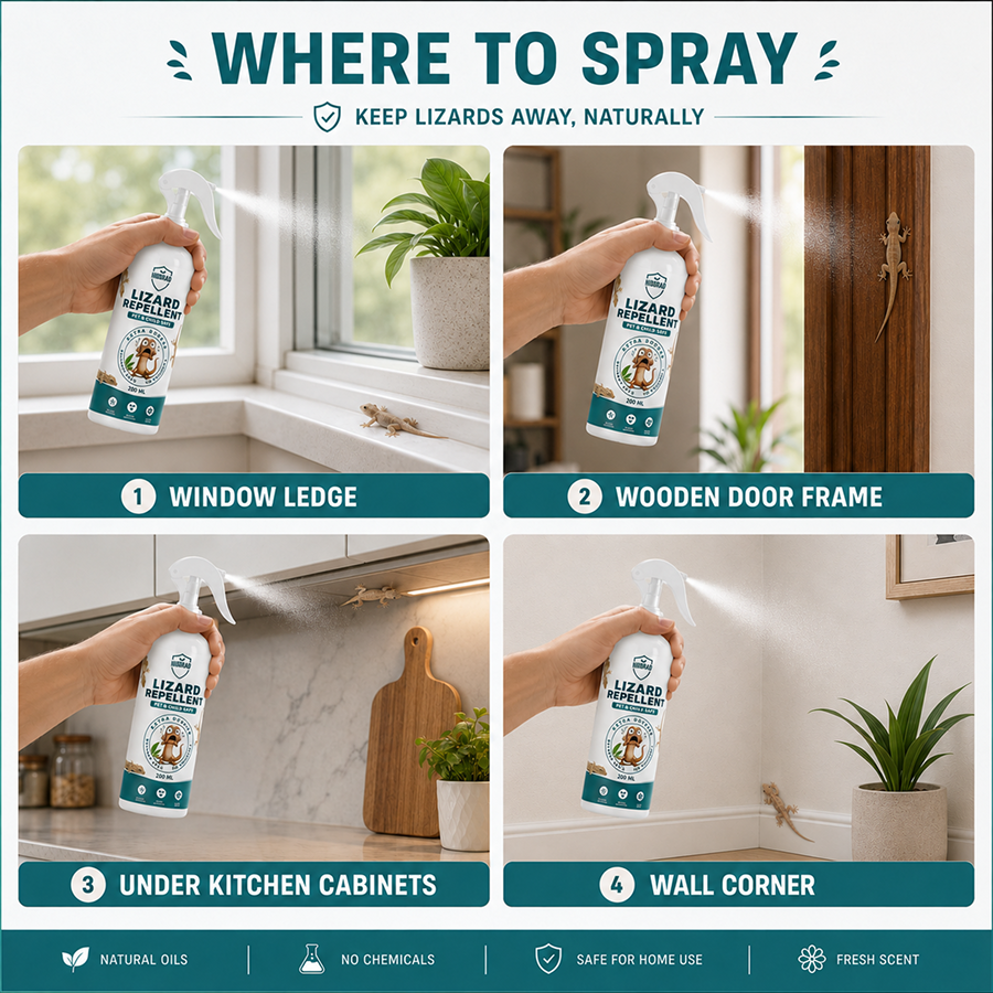 LIZARD-REPELLENT-SPRAY-USE.png